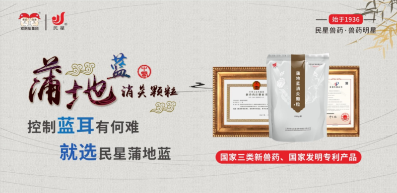 9月肉猪头均盈利榜：温氏668元、神农606元、牧原601元、立华560元…【民星特约·数说猪业】