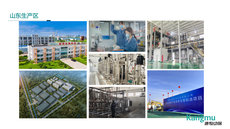 锐减671家，行业壁垒持续提高！杨金瓶：技术革新与新产品的研发将成为企业创新发展的新常态【第五届新猪派养猪产业峰会】