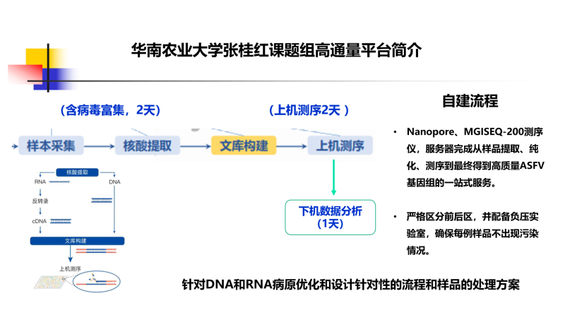 张桂红：面对复杂猪病挑战，宏基因组测序技术“一网打尽”所有病原【第五届新猪派养猪产业峰会】