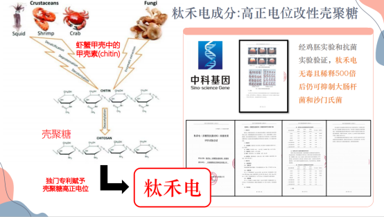 洁蛋保鲜技术大揭秘：粏禾电——简便且高效的鸡蛋保鲜材料