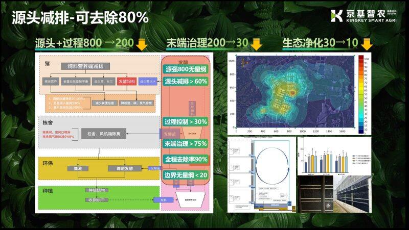 谢永东：环保问题带来的危害，堪比非洲猪瘟！从源头开始控制，臭气排放可减少80%【第五届新猪派养猪产业峰会】