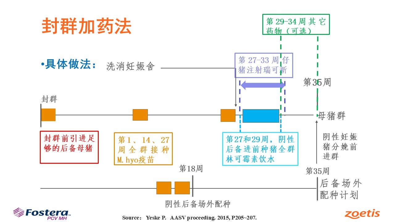 王科文：优化封群加药法，硕腾Mhp Guardian提升猪肺炎支原体净化成功率【第五届新猪派养猪产业峰会】