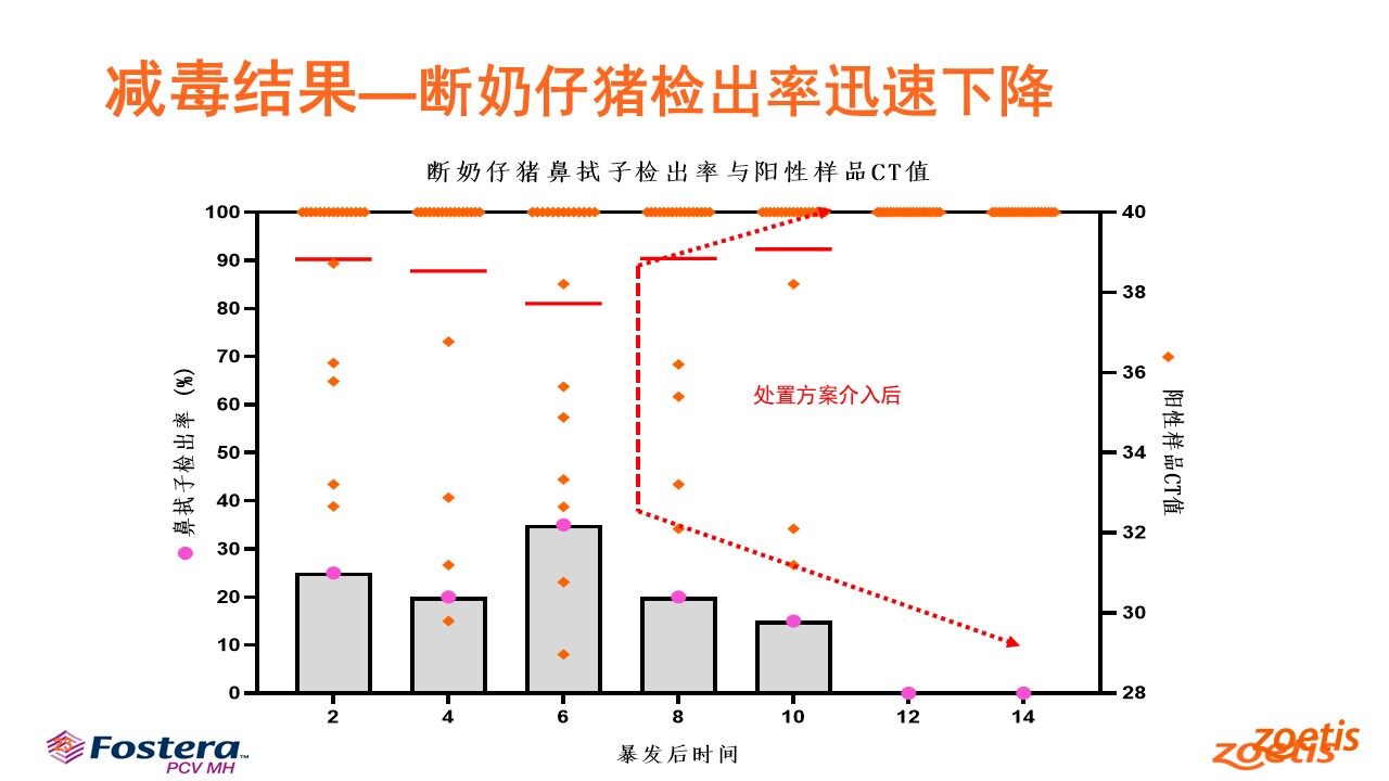 王科文：优化封群加药法，硕腾Mhp Guardian提升猪肺炎支原体净化成功率【第五届新猪派养猪产业峰会】