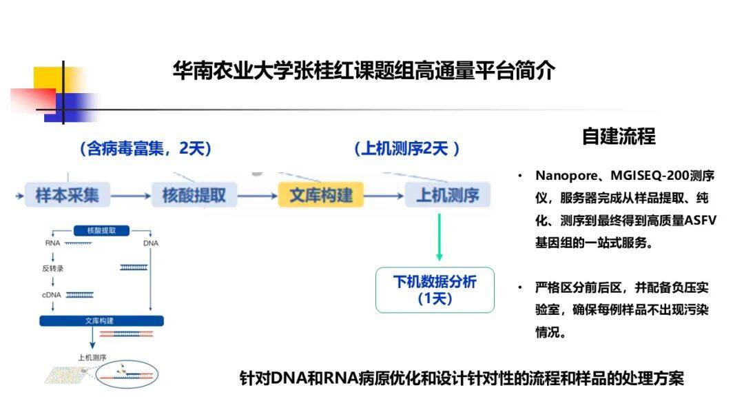 非瘟、蓝耳变异重组？张桂红：构建宏基因组测序平台，实现复杂猪病的全面诊断与精准防控