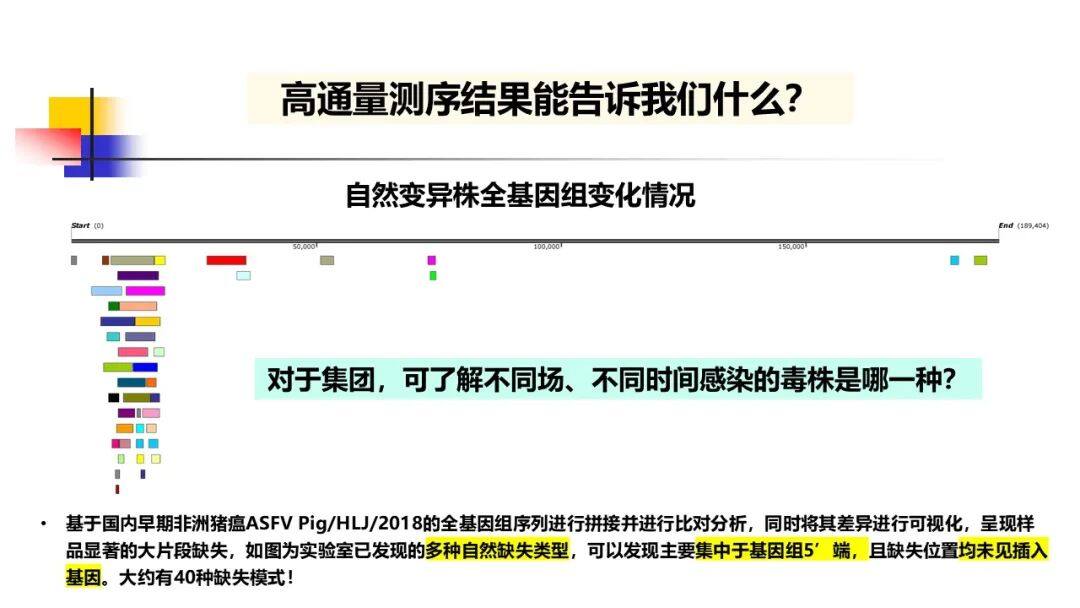 非瘟、蓝耳变异重组？张桂红：构建宏基因组测序平台，实现复杂猪病的全面诊断与精准防控