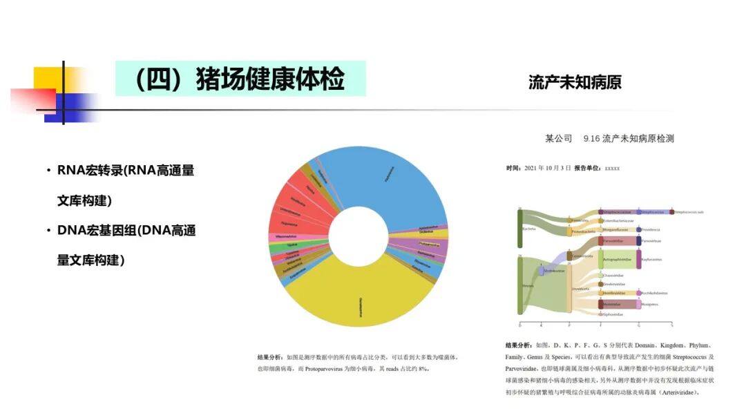 非瘟、蓝耳变异重组？张桂红：构建宏基因组测序平台，实现复杂猪病的全面诊断与精准防控