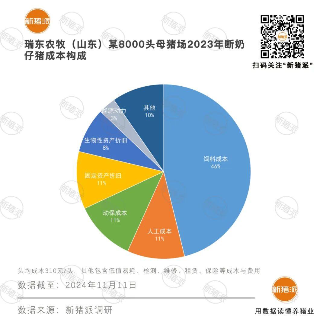 母猪规模达2.6万头！段连茂：瑞东农牧（山东）蓝耳全部阴性，疫病防控成效显著造就优异养猪成绩