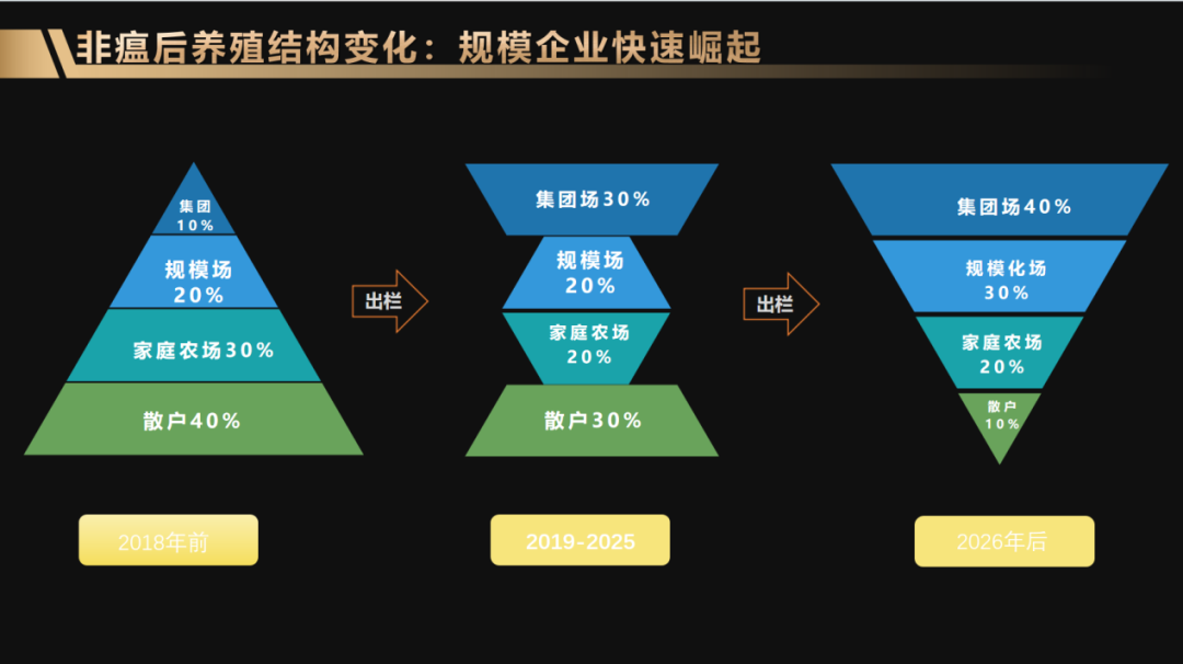 一年受邀演讲上百场，养猪人必看的报告！新猪派李丹：用数据深度解析猪业发展【梅里众诚特约·数说猪业】