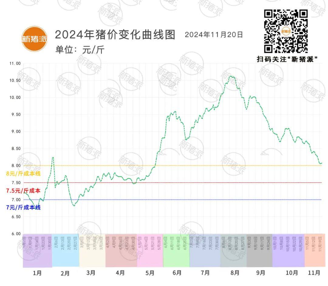 11月20日：行情向好，猪价止跌反弹！福建最高涨0.15元/斤，广东最高8.58元/斤【三仪特约·猪价指数】