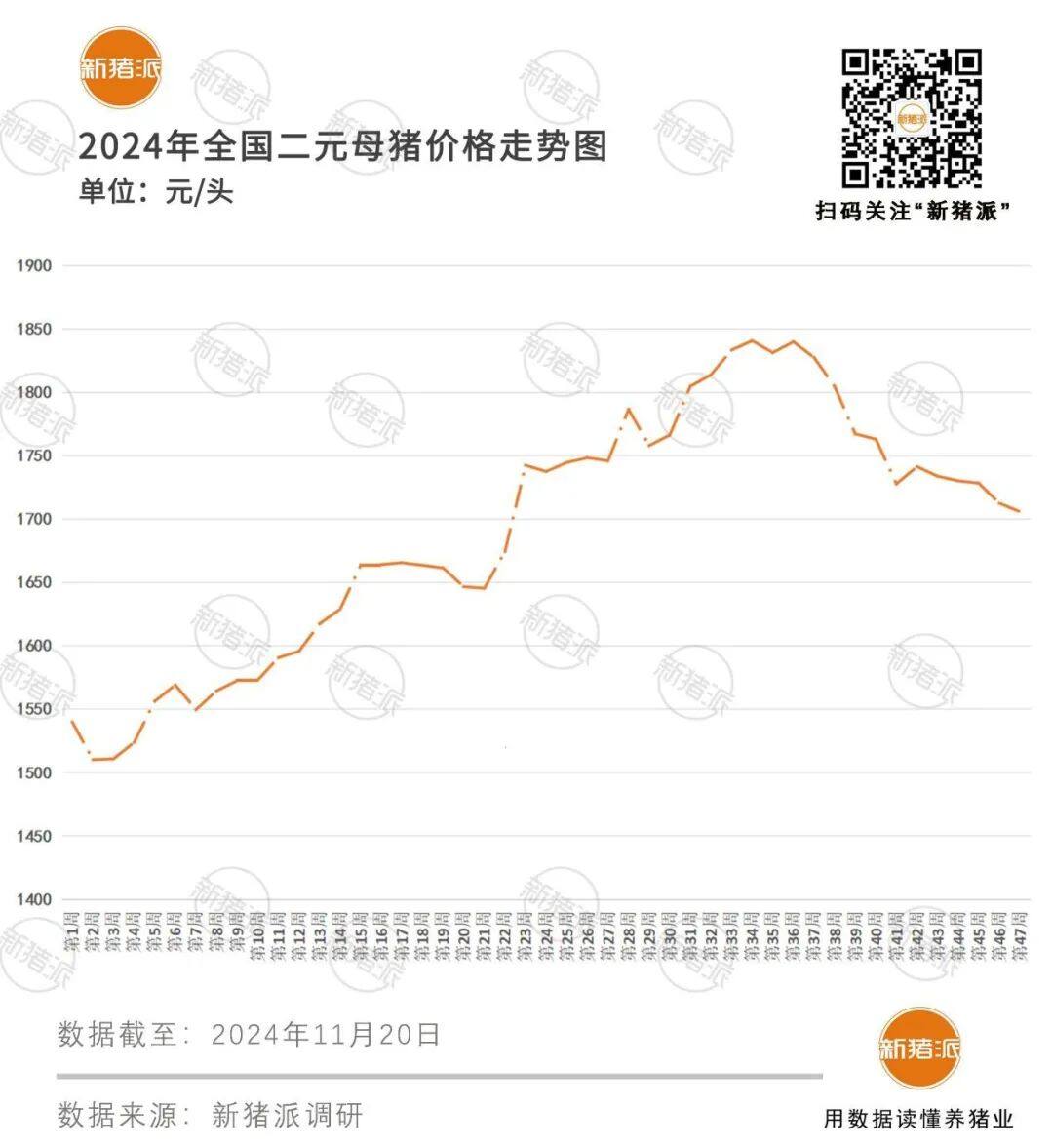 猪价“降温”多地跌破8元，仔猪却逆市连涨5周，广东最高报470元/头！