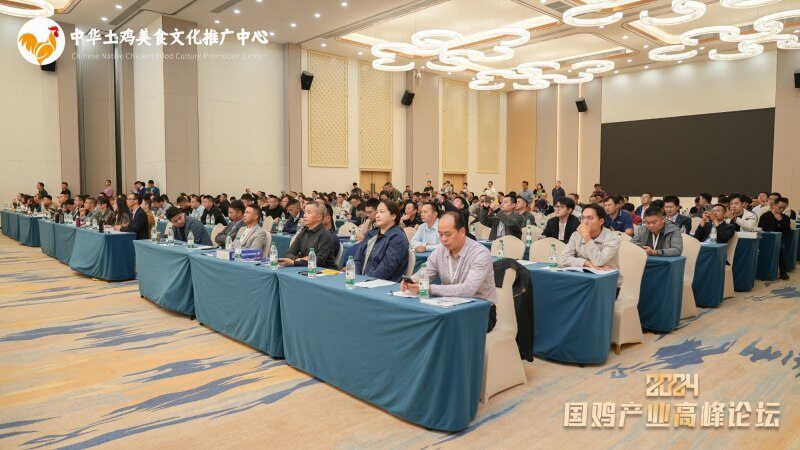 布氏球虫阳性率34.2%!“4+2”全面保护,正典鸡球虫病二价活疫苗隆重发布!