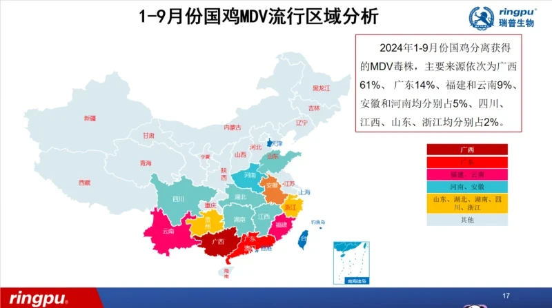 国鸡传贫阳性率21%！南方马立克毒株6成来自广西，防控还需双价疫苗免疫！呼肠孤病毒引起的腿病问题亦不容忽视！