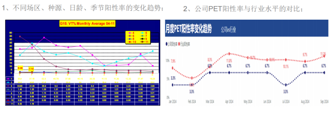 产蛋异常？呼吸道疾病？黄秀英：家禽支原体病需监控、防控两手抓