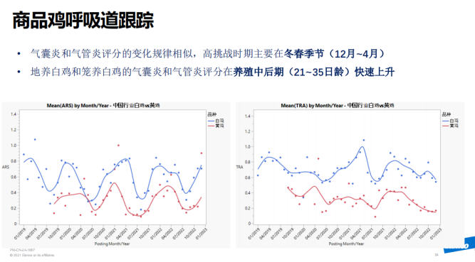 产蛋异常？呼吸道疾病？黄秀英：家禽支原体病需监控、防控两手抓