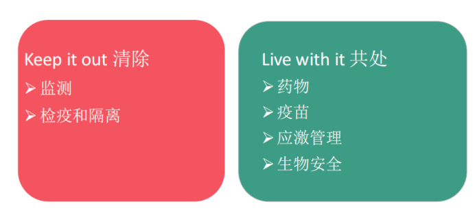 产蛋异常？呼吸道疾病？黄秀英：家禽支原体病需监控、防控两手抓