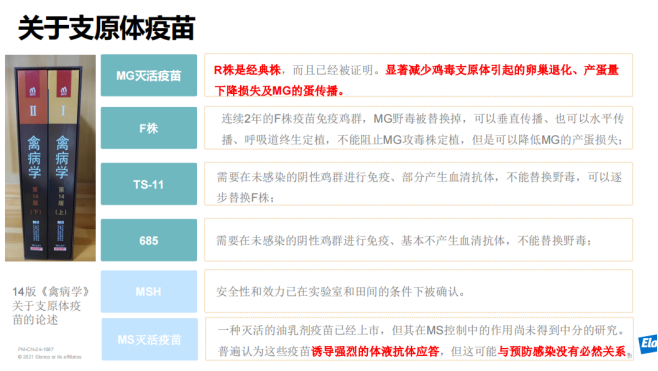 产蛋异常？呼吸道疾病？黄秀英：家禽支原体病需监控、防控两手抓