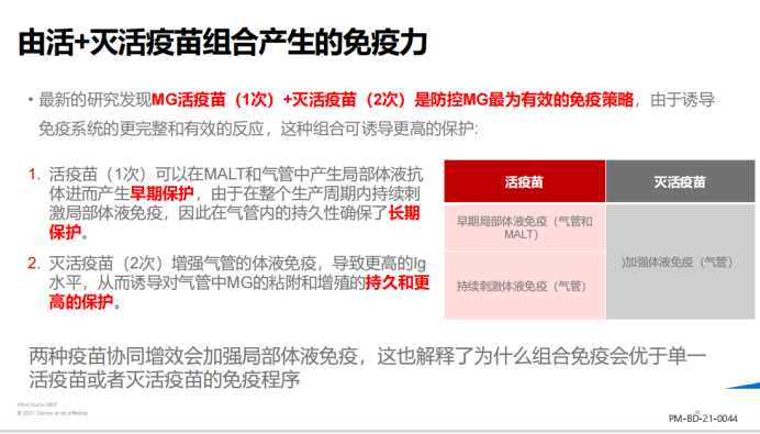 产蛋异常？呼吸道疾病？黄秀英：家禽支原体病需监控、防控两手抓