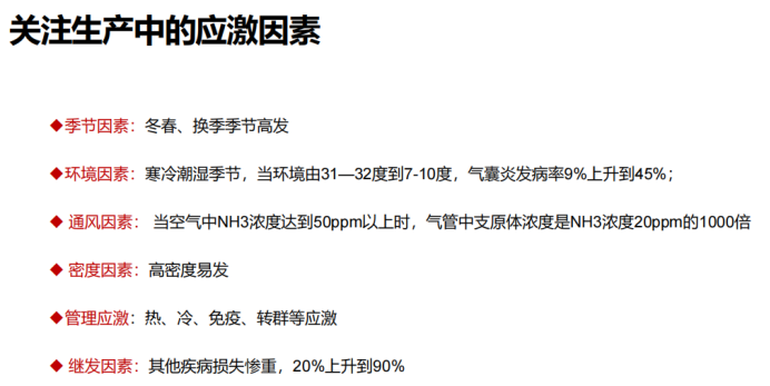 产蛋异常？呼吸道疾病？黄秀英：家禽支原体病需监控、防控两手抓