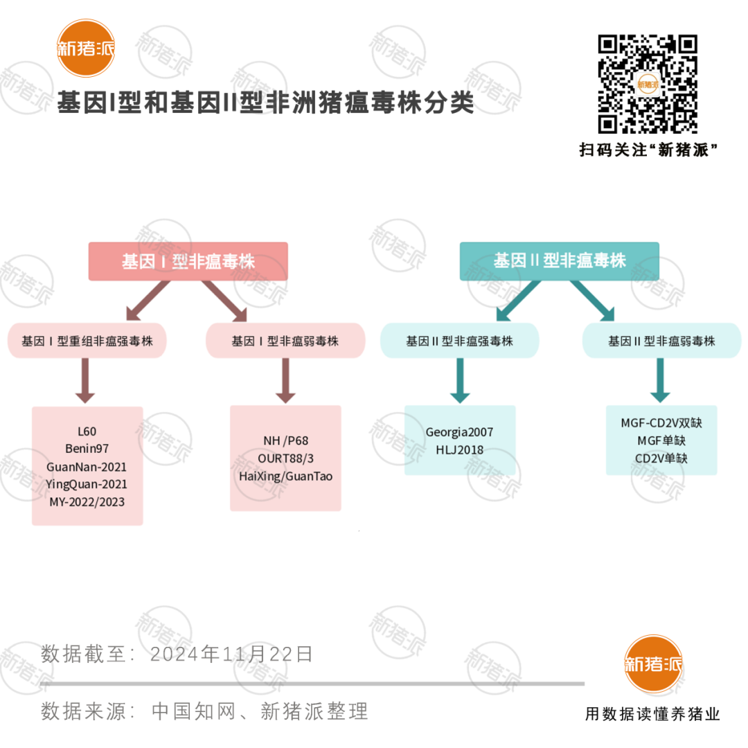 越南今年累计爆发863起非瘟疫情！专家提醒：非瘟重组嵌合毒株毒力减弱，仍有较强水平传播能力