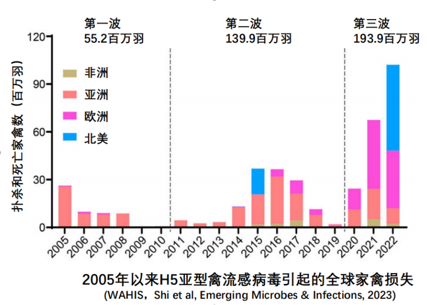 彭大新：高致病性禽流感形势严峻，疫苗防控铸就安全壁垒