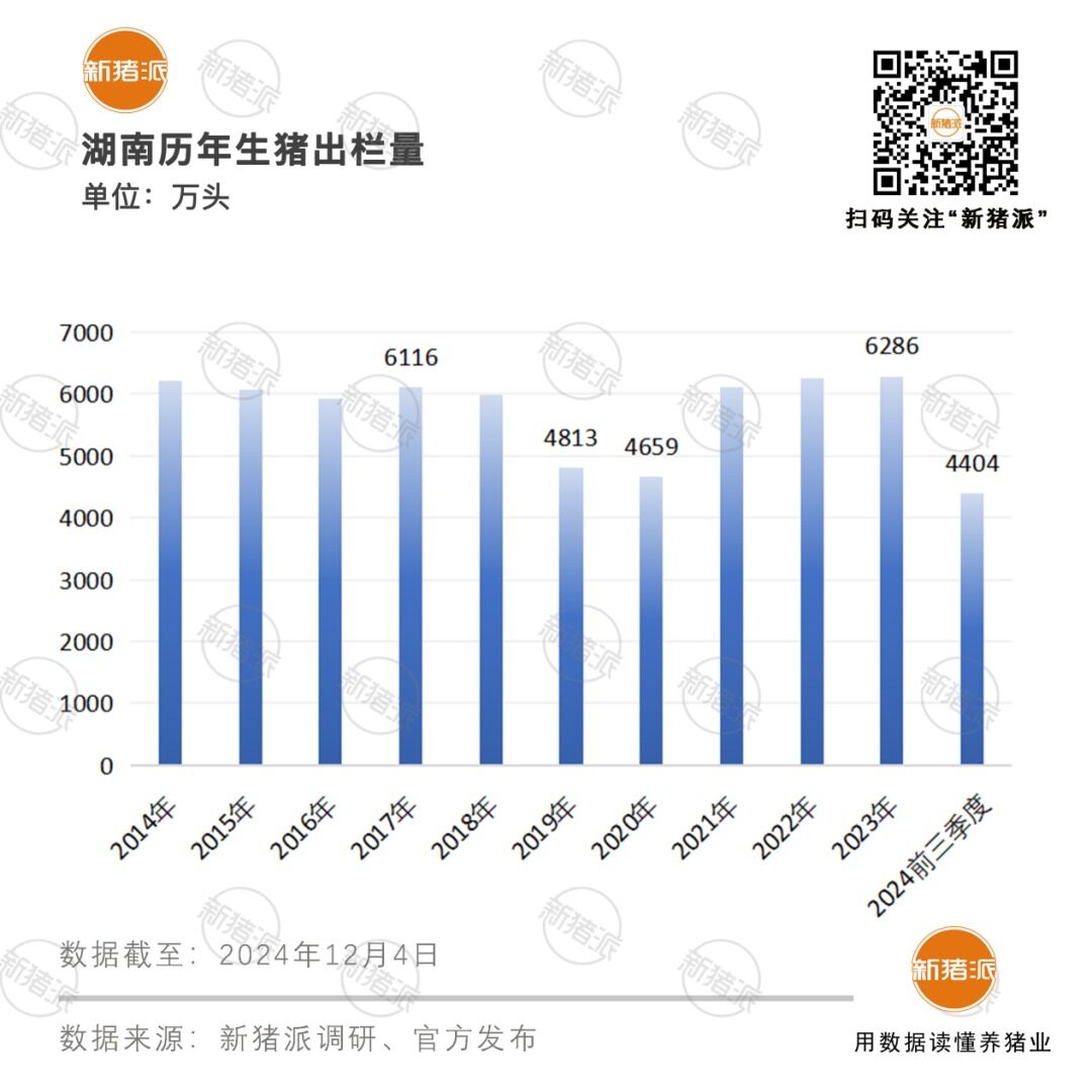 出栏全国第二！过半中小猪场退出，从“运猪”向“运肉”2024年湖南迎来产业升级“元年”【派尼生物特约·数说猪业】