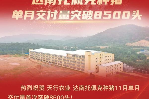 重整进入执行阶段！傲农生猪业务大变革，清退低效猪场，退出北方市场，向“公司+农户”倾斜