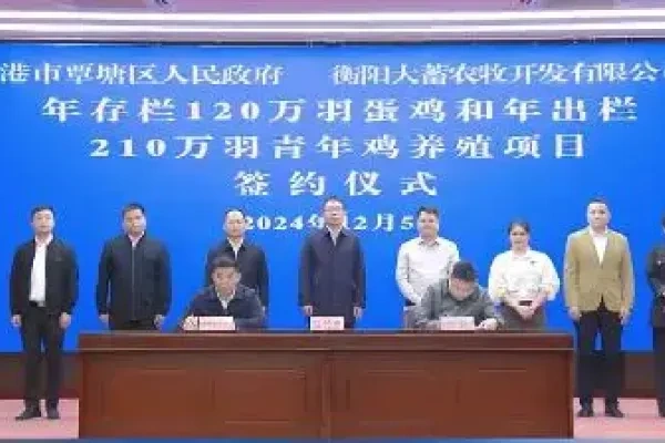 总投资2.4亿元！规模120万蛋鸡存栏！广西贵港覃塘区又签约一大规模蛋鸡养殖项目