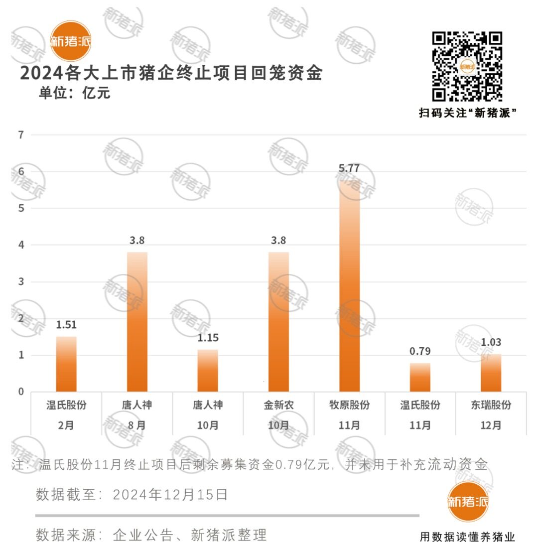 中腰部企业在扩产头部收缩！2024年猪企建成产能362万头，终止项目17个，回流资金超17亿元