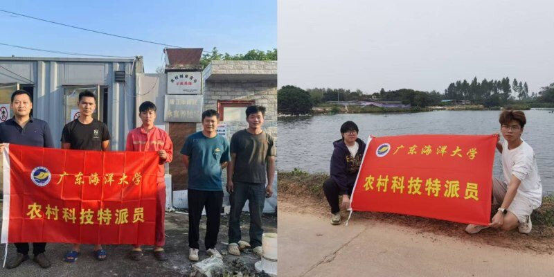 驻镇帮镇扶村工作稳步开展，科技兴农落到实处——广东省廉江市新民镇农村科技特派员团队工作纪实