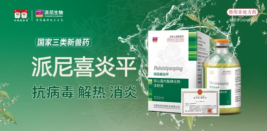 减至115家！2024年万头母猪企业排行榜出炉，共计1310万头暴增13%，腰部猪企增长迅猛【派尼生物特约·数说猪业】