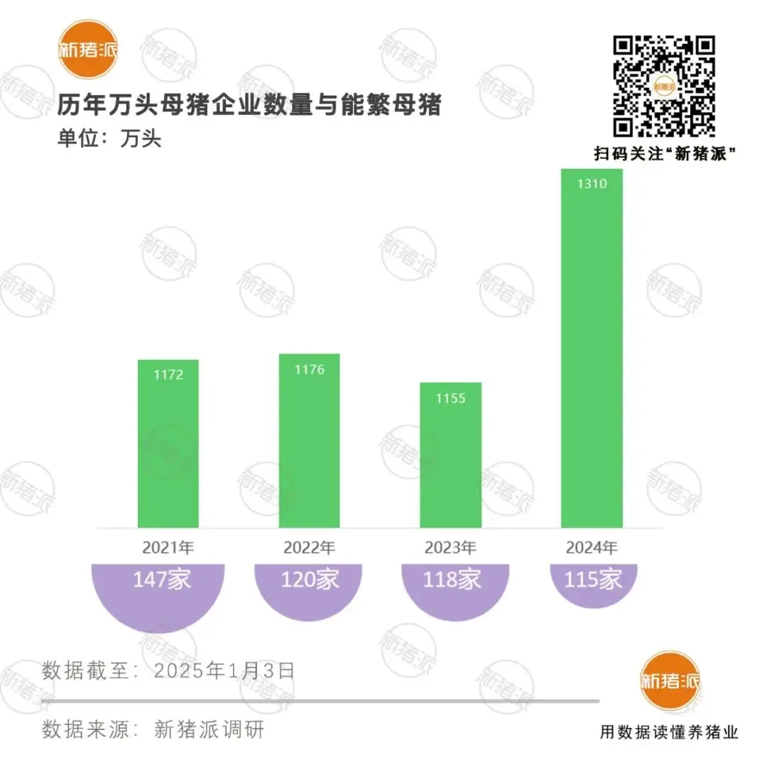 减至115家！2024年万头母猪企业排行榜出炉，共计1310万头暴增13%，腰部猪企增长迅猛【派尼生物特约·数说猪业】