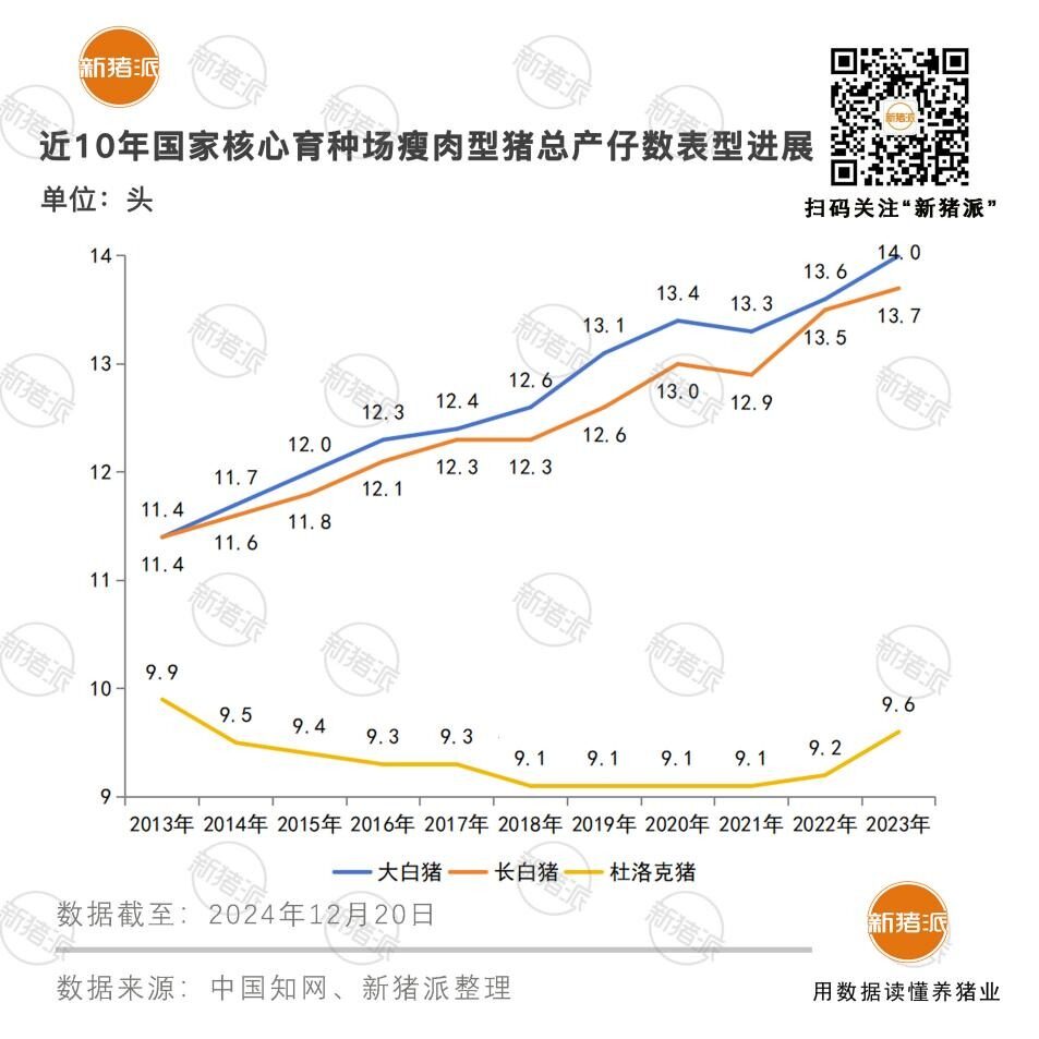 总产仔数提升超5%，7万头核心猪群应用全基因组芯片育种改良，种猪育种进入“全芯”时代