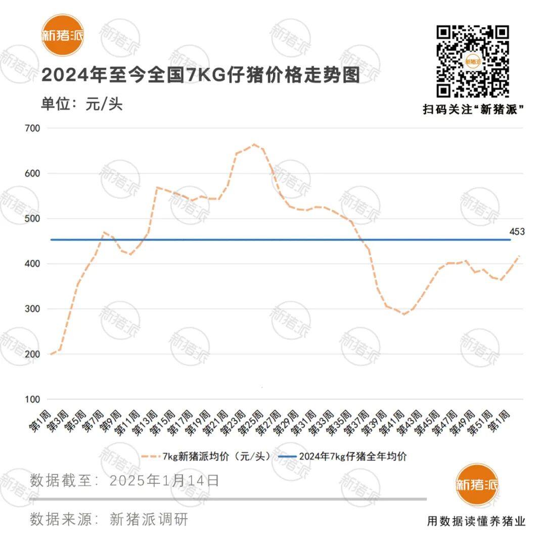 2024年仔猪外销1243万头！温氏开售即破百万头，牧原同比暴增314%……猪苗或成为常态化产品