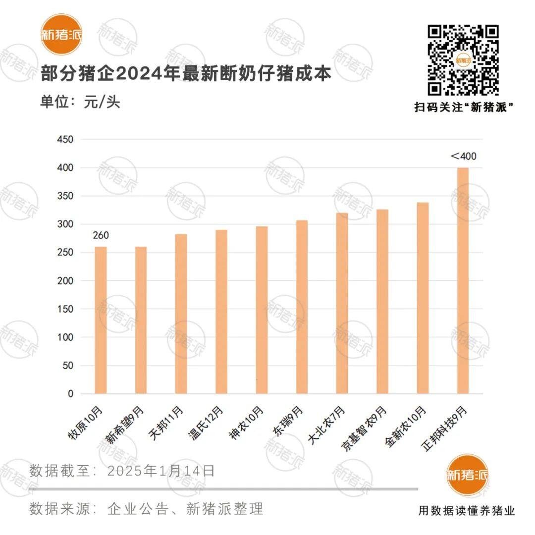 2024年仔猪外销1243万头！温氏开售即破百万头，牧原同比暴增314%……猪苗或成为常态化产品