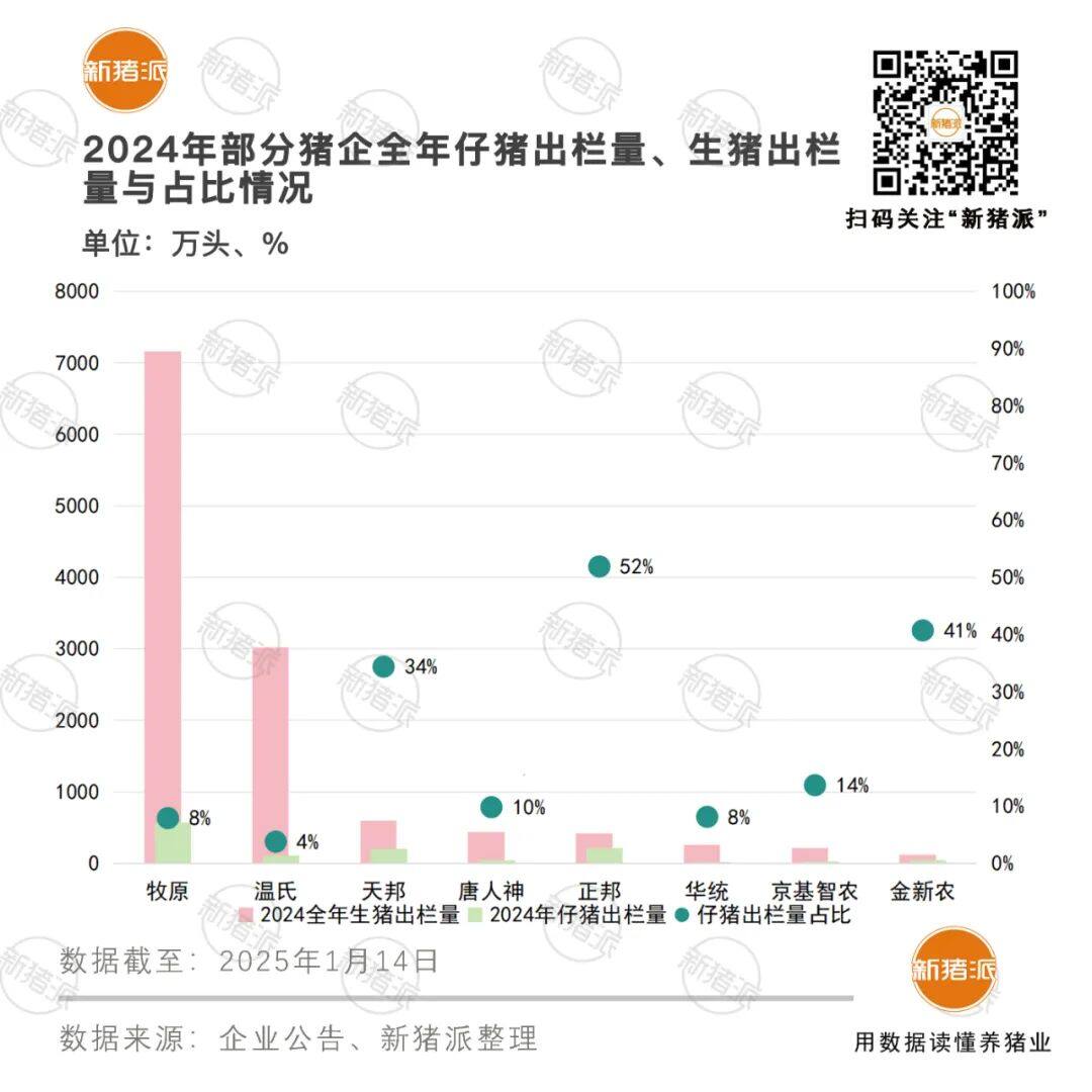 2024年仔猪外销1243万头！温氏开售即破百万头，牧原同比暴增314%……猪苗或成为常态化产品