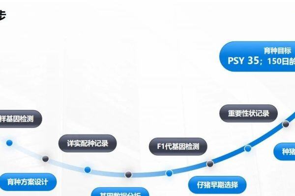 商品猪屠宰结算可多盈利近100元？史记生物定义育种新风向，高效优质是核心竞争力