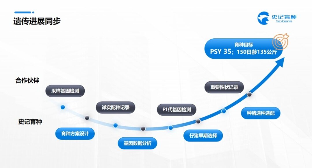 商品猪屠宰结算可多盈利近100元？史记生物定义育种新风向，高效优质是核心竞争力