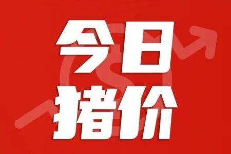 1月16日：市場行情向好！廣東、廣西、湖南等地豬價上漲，陜西沖高8.23元/斤【三儀特約·豬價指數】