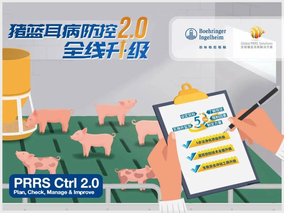 2024年生猪出栏7亿头，同比下降3.3%！产区变革，规模化加速，TOP26猪企占比近三成【勃林格特约·猪业视野】