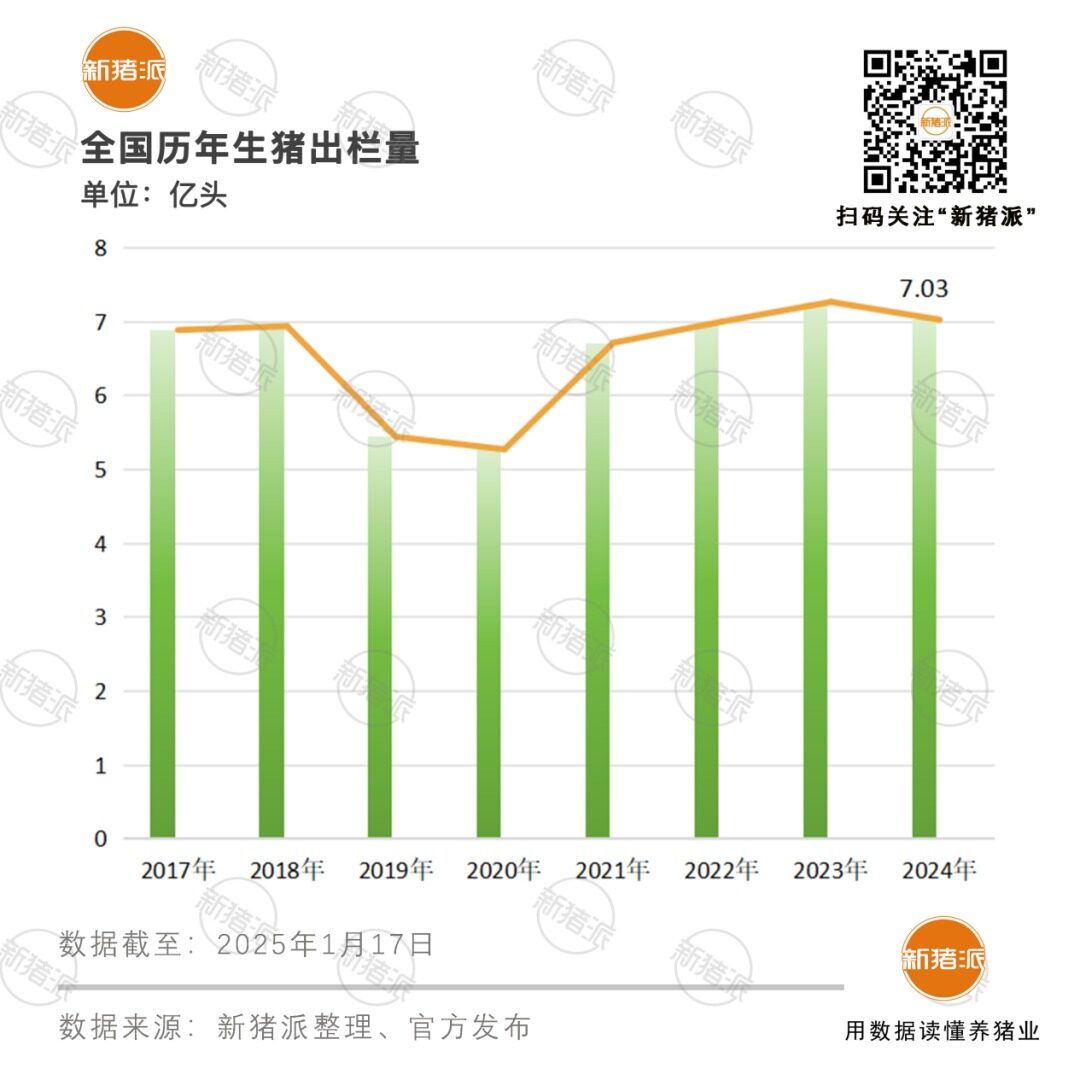 2024年生猪出栏7亿头，同比下降3.3%！产区变革，规模化加速，TOP26猪企占比近三成【勃林格特约·猪业视野】