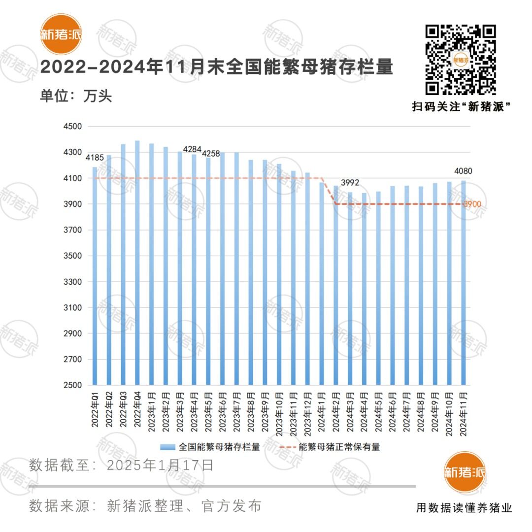 2024年生猪出栏7亿头，同比下降3.3%！产区变革，规模化加速，TOP26猪企占比近三成【勃林格特约·猪业视野】