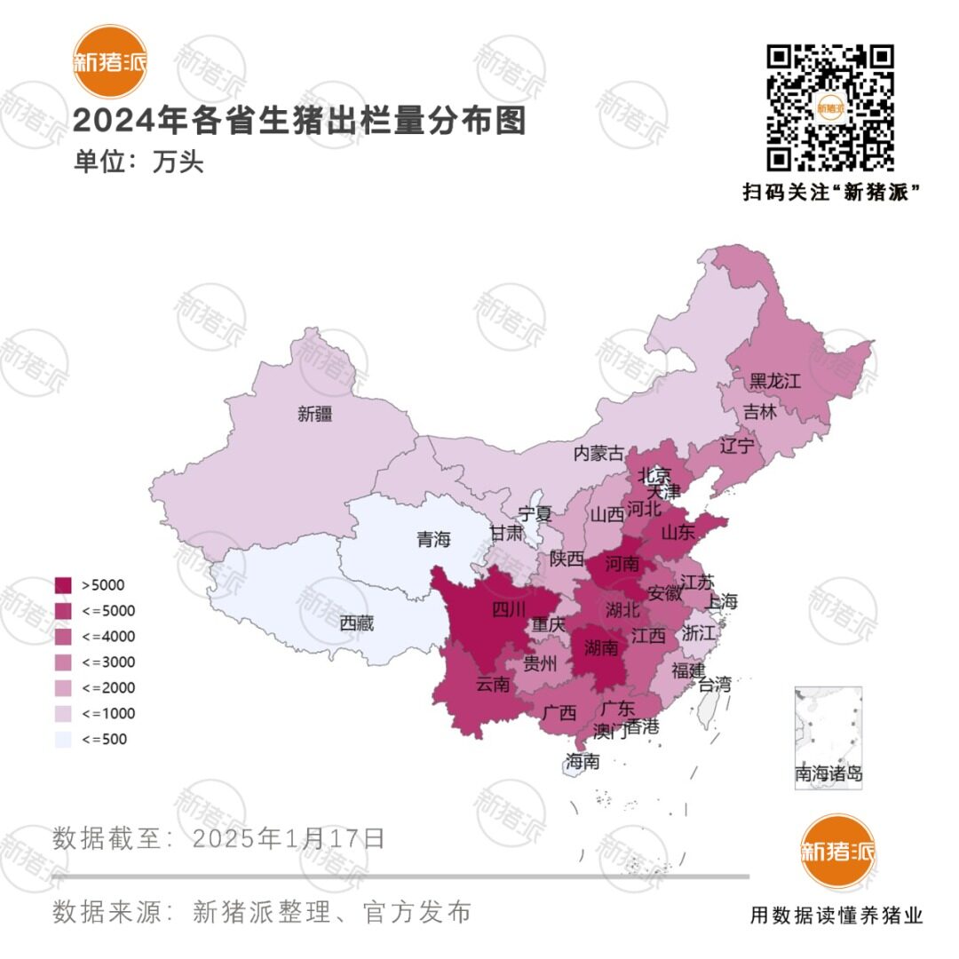 2024年生猪出栏7亿头，同比下降3.3%！产区变革，规模化加速，TOP26猪企占比近三成【勃林格特约·猪业视野】