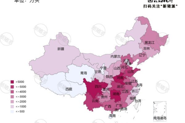 2024年全国生猪产能数据分析