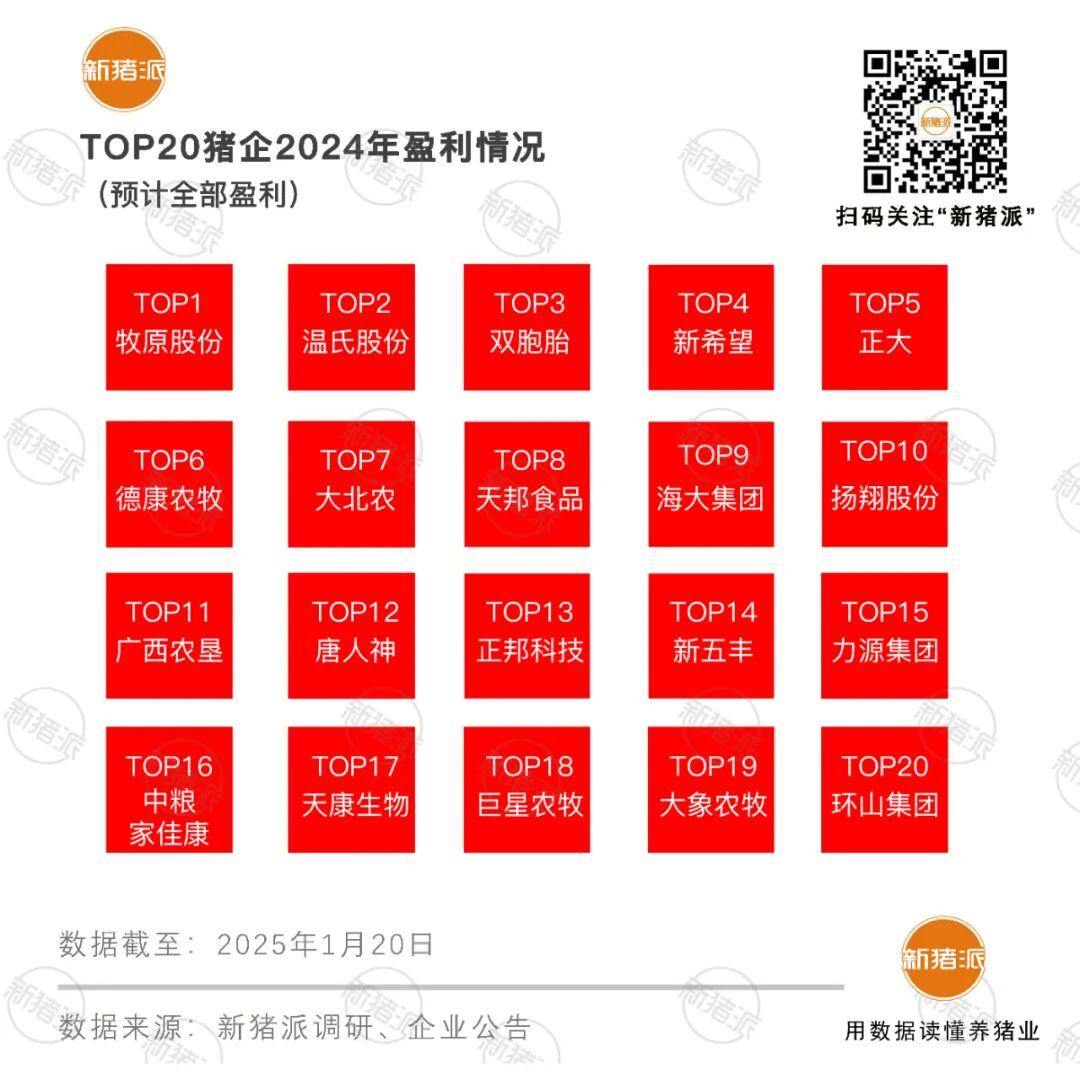 2024年集团猪企业绩盘点分析：牧原盈利暴涨，温氏，海大创新高，天邦、立华超10亿