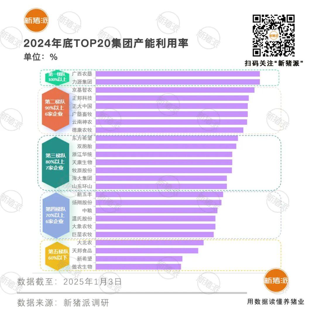 TOP20豬企平均產(chǎn)能利用率81%，同比上升11%！成本下降0.6-1.35元/斤不等【勃林格特約·豬業(yè)視野】