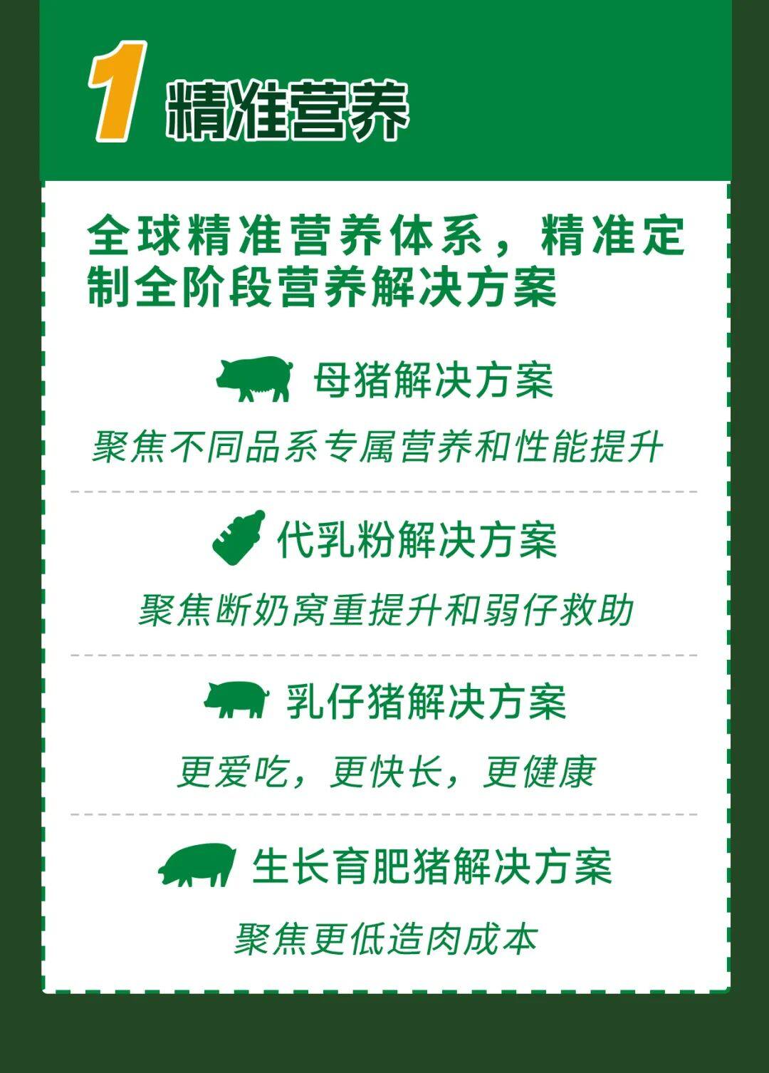 冲刺PSY30+春耕行动”盛大开启，嘉吉助力突破猪业发展困境