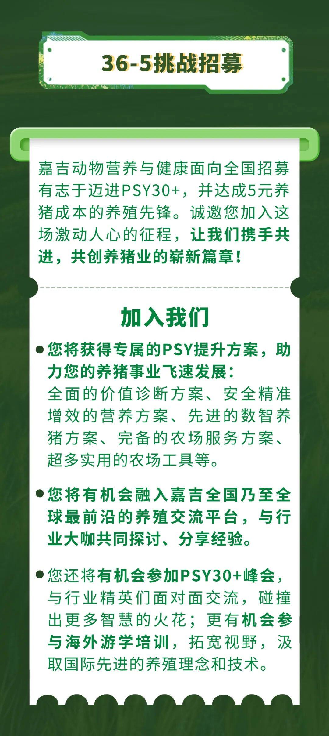 冲刺PSY30+春耕行动”盛大开启，嘉吉助力突破猪业发展困境