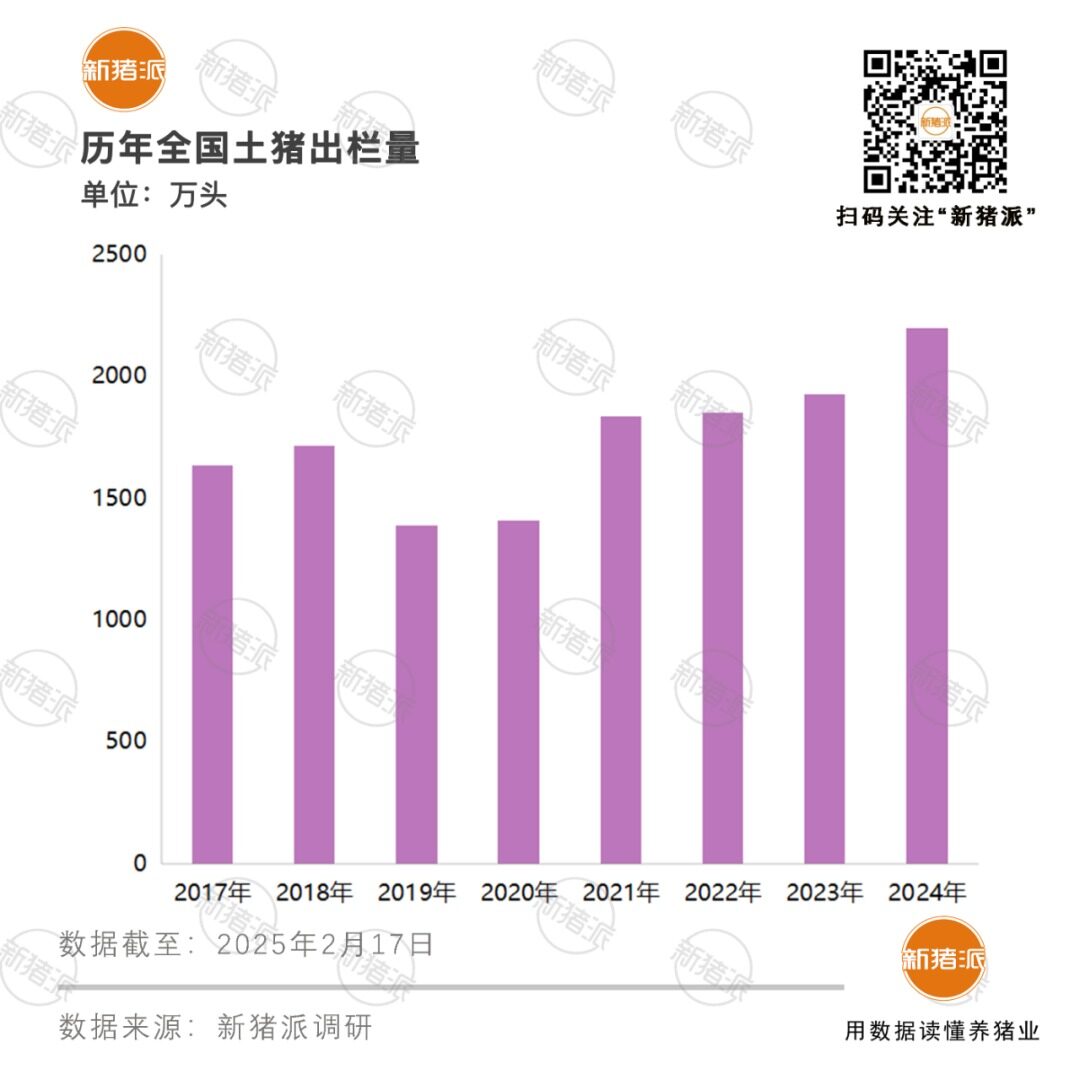 土猪复兴：139个品种及配套系，13家国家核心育种场，年出栏量2200万头左右！