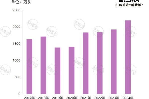 2024年全国土猪产业布局与现状分析