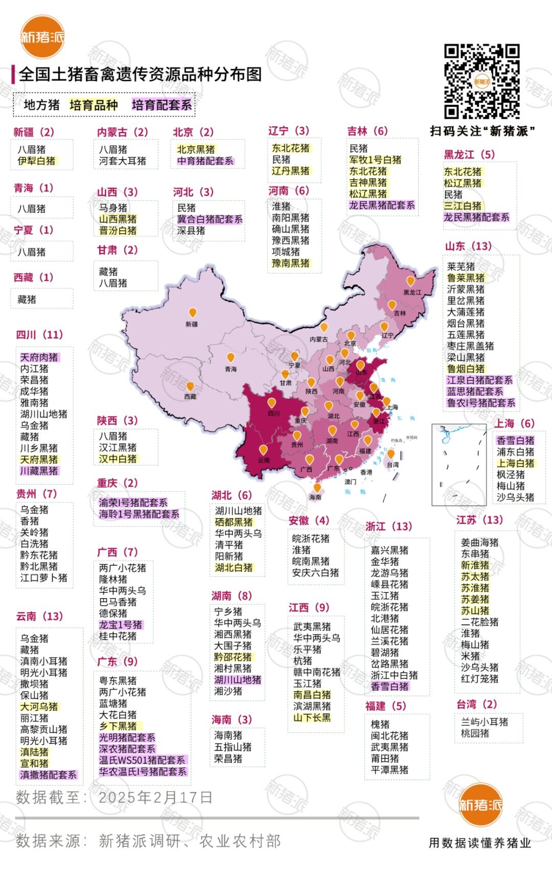 土猪复兴：139个品种及配套系，13家国家核心育种场，年出栏量2200万头左右！